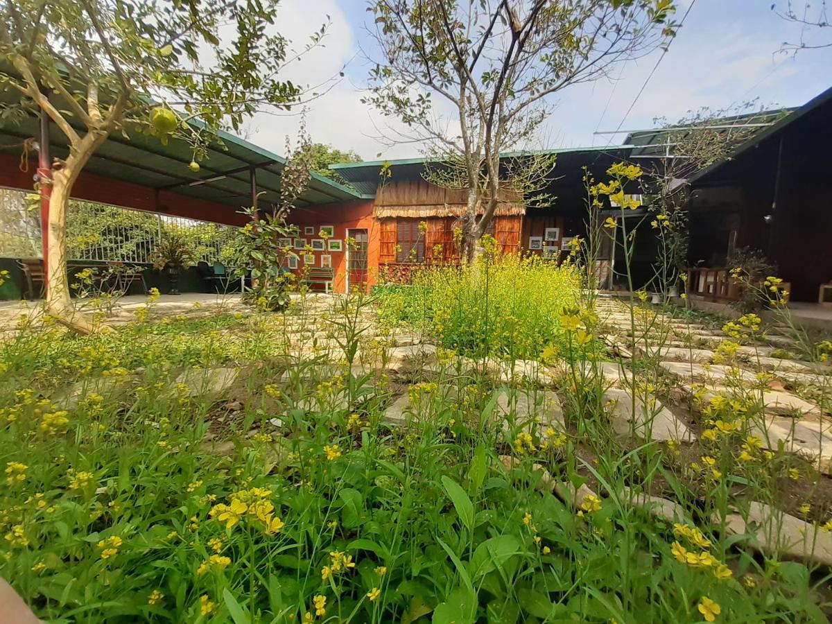 Homestay Lan Rung Nghia Lo Buitenkant foto